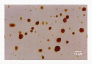 photomicrograph of water in oil emulsion